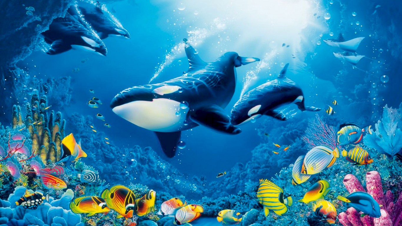 free live aquarium desktop wallpaper